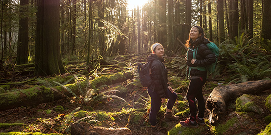 Two women hiking in a forest.  Sunshining through the trees.  